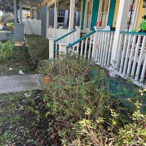 Bush Trimming by A Cut Above Lawn &amp; Landscaping reviewed on November 10, 2025