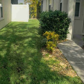 grass maintenance by House Perfect reviewed on September 28, 2023