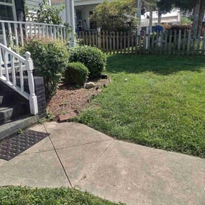 Flower Bed Weeding by Terry and Family Management LLC reviewed on August 16, 2025