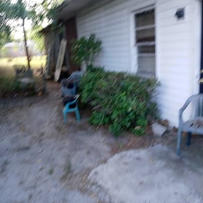 Bush Trimming by Verde Lawn and Property Management reviewed on August 17, 2025