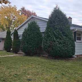 Bush Trimming by X&#039;cellent Lawn Kare and Landscaping LLC reviewed on November 5, 2025