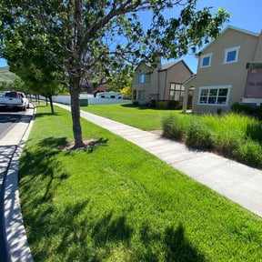 residential landscaping by R&amp;R Lawncare reviewed on August 21, 2025