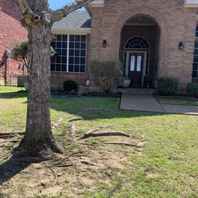 Bush Trimming by The lawn Guy reviewed on August 20, 2025