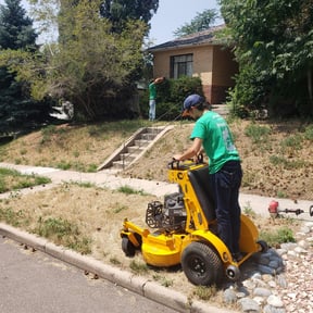Bush Trimming by Mow It Alls Of Vero LLC reviewed on August 19, 2025