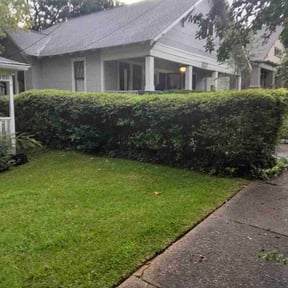 Bush Trimming by Special Clips reviewed on November 20, 2025