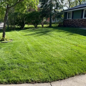 yard care by Double E Lawn Service reviewed on August 21, 2025