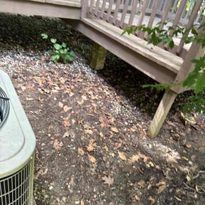 Bush Trimming by No Time Wasted reviewed on May 24, 2025