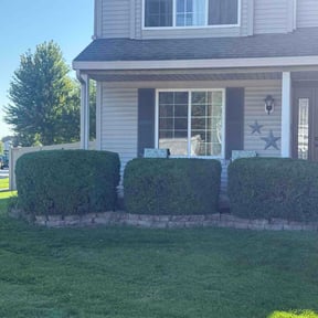 Bush Trimming by MOW AND MAINTENANCE reviewed on August 28, 2026