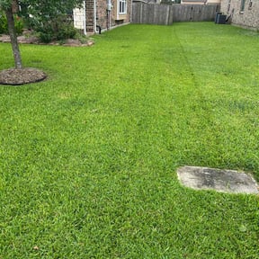 landscaping services by Duane & Sons lawn care reviewed on August 20, 2025