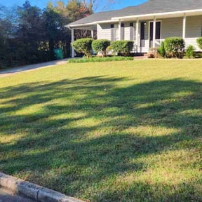 turf care by Brintley's Landscaping LLC reviewed on July 24, 2023