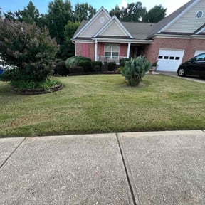 Bush Trimming by Herrera Lawn Maintenance reviewed on August 17, 2025