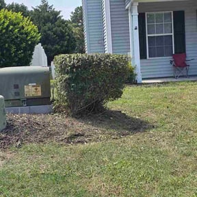 Bush Trimming by Lawn pro reviewed on August 27, 2026