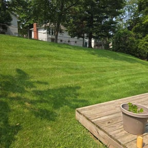 yard care by Jazzy green cuts llc reviewed on August 15, 2025