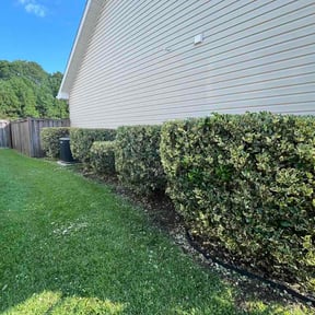 Bush Trimming by Luxury cleaning &amp; lawn reviewed on August 14, 2026