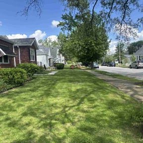 landscaping by Mario Lawn Service reviewed on August 17, 2025