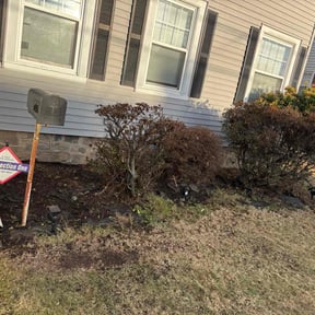 Bush Trimming by Washington lawncare and landscaping llc reviewed on June 20, 2022