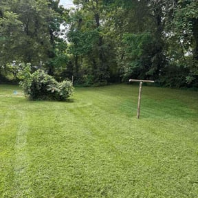 yard service by NWO reviewed on August 21, 2025