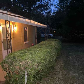 Bush Trimming by Rcuts Lawncare reviewed on April 4, 2026