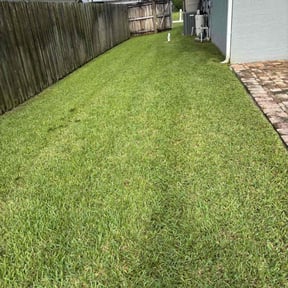 yard maintenance by Tony's lawn services/Plowing reviewed on August 21, 2025