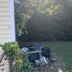 Bush Trimming by Snell mowing reviewed on August 14, 2025