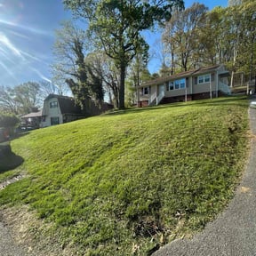 grass maintenance by GraceFulCuts reviewed on May 8, 2024