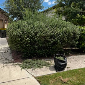 Bush Trimming by Brooks lawn Care reviewed on August 16, 2025