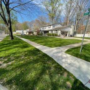 residential landscaping by CuChee Rich LLC reviewed on September 16, 2025