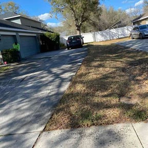 Leaf Removal by Simple lawn care reviewed on September 13, 2026