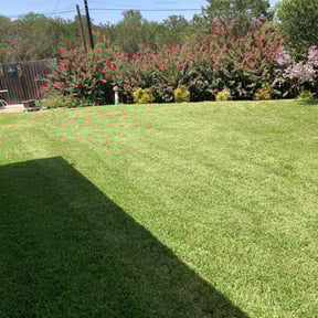 yard work by Sinaí Tree and lawn care expertsI hope to soon be able to help you with your garden or with any proj reviewed on May 1, 2025