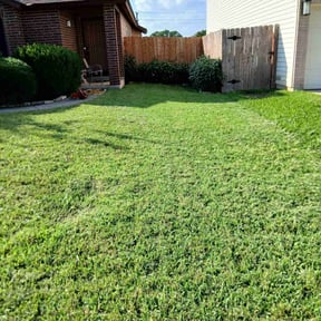 yard work by Arca Landscaping reviewed on November 19, 2025