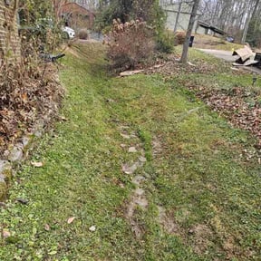 Leaf Removal by Infinity landscape reviewed on September 20, 2025