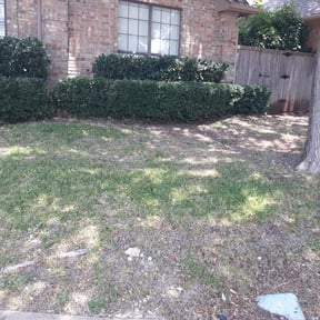 Bush Trimming by Greene Family Lawncare reviewed on July 8, 2020