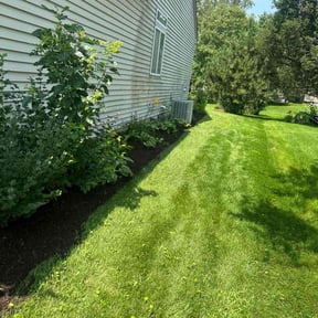 Mulching by F&M LAWNCARE reviewed on August 21, 2025
