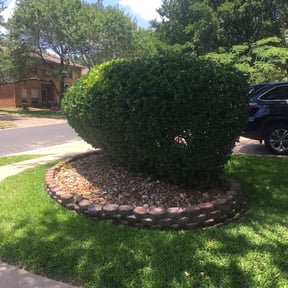 Bush Trimming by One Tuff Mama Roofing and Landscaping reviewed on August 18, 2025