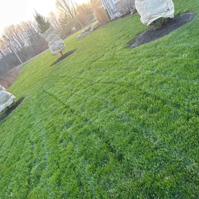 lawn care by Green lawn care reviewed on April 23, 2024