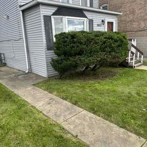 Bush Trimming by Lawns Murcia Landscaping reviewed on June 25, 2026