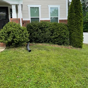 Bush Trimming by AllAround Services llc reviewed on August 18, 2025