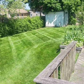 gardening service by One yard at a time reviewed on August 17, 2025