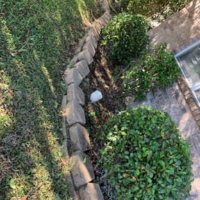 Bush Trimming by Escobedo Lawn service reviewed on August 21, 2025