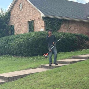 Bush Trimming by RACC of all Trades reviewed on June 7, 2026