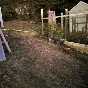 Bush Trimming by CB Enterprises of Derby llc reviewed on October 21, 2025