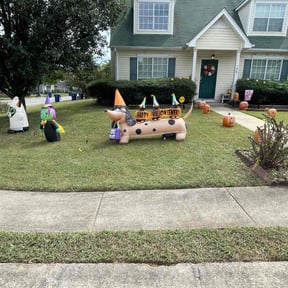 yard service by Countryside lawn and garden reviewed on August 21, 2025