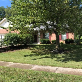residential landscaping by 1 Dad + 1 Son + 3 Fish & a Frog! reviewed on August 16, 2025