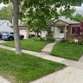 yard maintenance by Legacy Coast Yard Co. reviewed on August 16, 2025