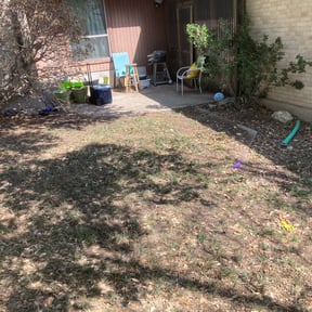 Leaf Removal by Simio&#039;s reviewed on September 25, 2025