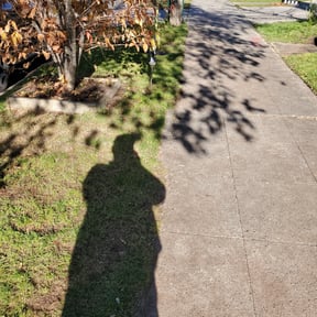 Leaf Removal by Second Glance Landscaping LLC reviewed on September 18, 2025