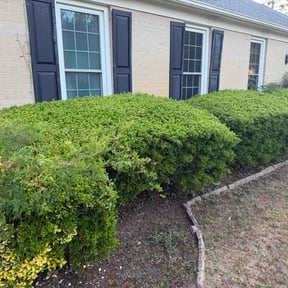 Bush Trimming by We Go Kc Lawn and Snow reviewed on May 13, 2026