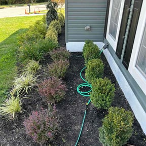 Flower Bed Weeding by Keith&#039;s Landscaping reviewed on August 6, 2025