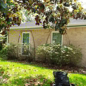 Bush Trimming by Tovar Landscaping reviewed on August 19, 2025