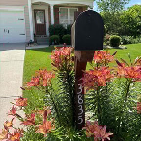 landscape maintenance by Expert Outdoor Services reviewed on August 18, 2025